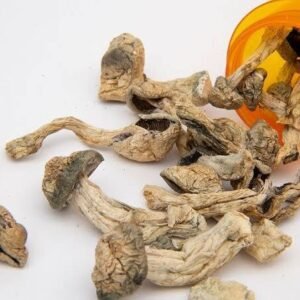 Buy Magic Mushrooms Online