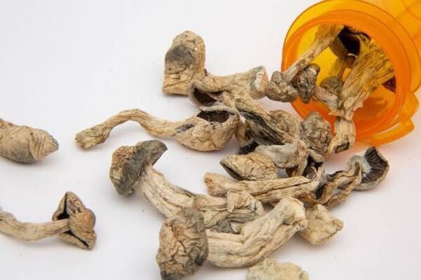 Buy Magic Mushrooms Online